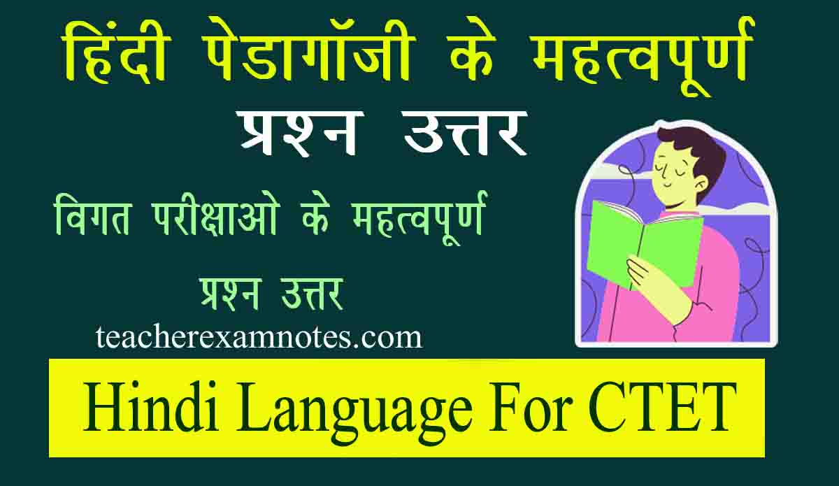 Hindi Language For CTET