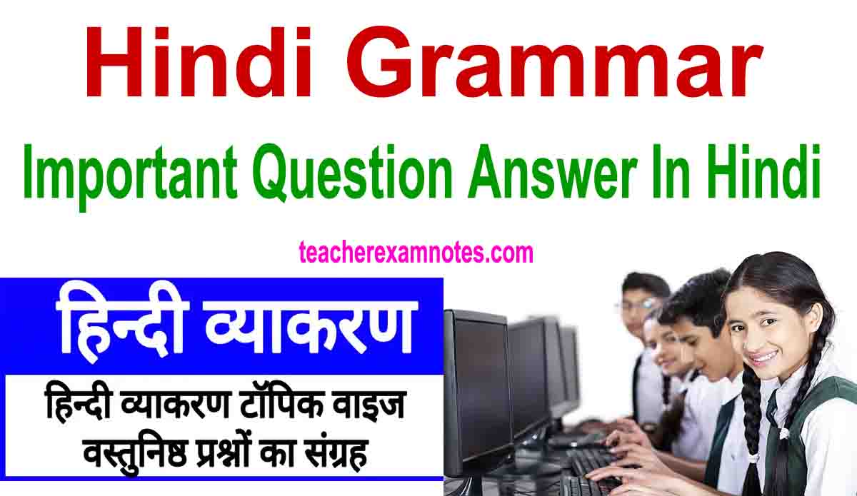 Hindi Grammar Important mcq